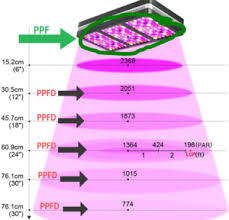 Understanding Grow Light Par Ppfd Wattage And Dli