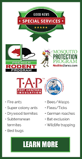Although safer to use in or around the home or workplace, these products are expensive and require a far higher level of skill to achieve a satisfactory result. Good News Pest Solutions Green Pest Control In Sarasota Bradenton