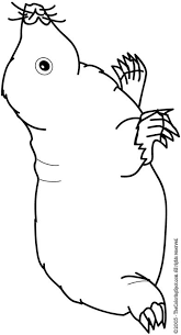 100% free animal coloring pages. Mole Coloring Page Audio Stories For Kids Free Coloring Pages Colouring Printables