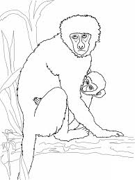 This monkey is obviously a pro. Free Printable Monkey Coloring Pages For Kids