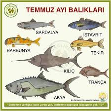 Ba Lent Pulcu Adli Kullanicinin Mevsimine Gore Yiyelim Panosundaki Pin Balik Balikcilik Balikcilik Ipuclari