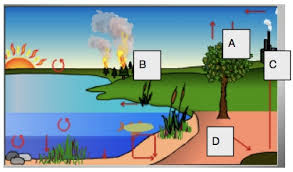 Some of the most fun and most interesting chemistry facts include: Carbon Chemistry Trivia Questions Proprofs Quiz