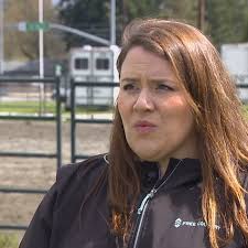 Spanaway horse show venue in jeopardy after roof damage