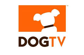 Tv d'orange tv par adsl et fibre. C Est Fait Avec Dog Tv Les Chiens Ont Leur Chaine En France Actualite Chien Santevet