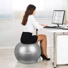 Best Balance Ball Chairs For Sitting Behind A Desk Vurni