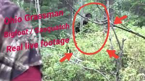 In the case of this article, villains are for the culprits behind the monster scam. Is Mountain Monsters Real What To Know About The Show S Creatures