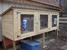 A basic rabbit cage, also known as a hutch, is simple a box that is raised off the ground. Pin On Rabbits
