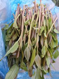 اللحوم المشوية في الفرن أو على الفحم أو على الجريل، تنال إعجاب الرجال جدا، لأنها تأخذ مذاق خاص مميز، اليوم معنا في مطبخ كنوزي شرح طريقة عمل الكباب الهندي الشامي السوري من. Ù‚Ø§Øª Ø§Ù„ÙŠÙ…Ù† Ø§Ù„Ø´Ø§Ù…ÙŠ Home Facebook