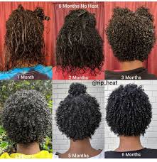 Before we will list the best products that will help the professional line of hair care products from darcy's botanicals brand offers excellent opportunities for those 7. Transitioning Hair Follow For More Styles Www Ueahsexyweaves Tumblr Com Natural Hair Transitioning Transitioning Hairstyles Curly Hair Styles