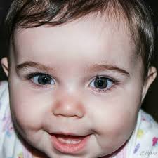 Melissa Beals Photography