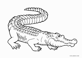 Color in this picture of an alligator and others with our library of online coloring pages. Alligator Coloring Pages Cool2bkids