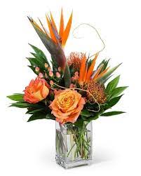 Maybe you would like to learn more about one of these? Greenwood Village Florist Flower Delivery By Arapahoe Floral