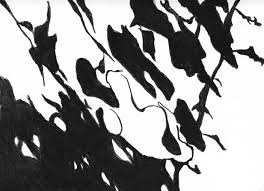 Light Landscape Katie Holten Shadow Drawing Space Art Art