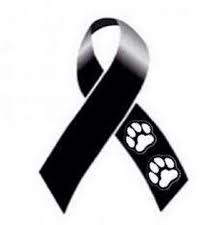 Luto Dog Mascotas Frases Luto Canino Muerte De Un Perro