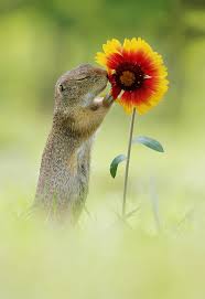 277 lượt thích · 1 người đang nói về điều này · 1 người đã ở đây. Victoria Hudson Home Facebook