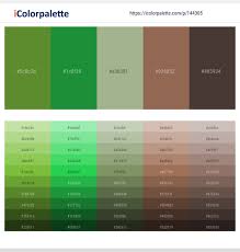 Derived from the french noun meaning mole, taupe is not quite gray but not quite brown either. Olive Drab Forest Green Schist Leather Taupe Color Scheme Icolorpalette