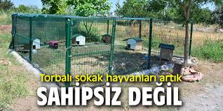 Torbali Sokak Hayvanlari Artik Sahipsiz Degil