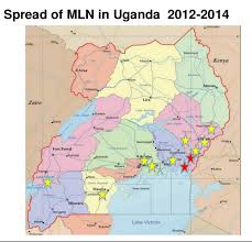 The country's tourism success revolves around these parks to a greater deal. Mln Diseases Portal Uganda Mln Distribution
