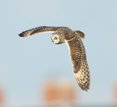 file_1142x1040_053327