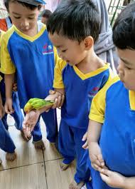 Jika kami ingin melakukan hubungan badan, biasanya kami menyewa penginapan dari siang sampai sore dan hanya dilakukan tiap hari sabtu karena pada saat itu sepulang sekolah muki langsung mengajakku ke penginapan. Playgrup Semut Semut Semut Semut