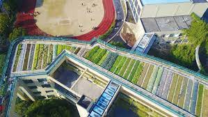 I was intrigued to hear that there were a number of ways one could modify or construct a roof on a house or office facility that would provide great environmental benefit. Elementary School Creates Eco Friendly Rooftop Farm Cgtn