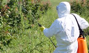 Maybe you would like to learn more about one of these? The Chemicals Sprayed On Your Fruit And Veg Is Worrying Daily Mail Online