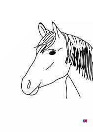 Le dessin nous montre un cheval marchant au pas. Image En Coulere Cheval Au Pat A Imprimer Gratuit Coloriage Cheval Avec Fille A Imprimer Sur Coloriages Info If You Do Not Find The Exact Resolution You Are Looking For