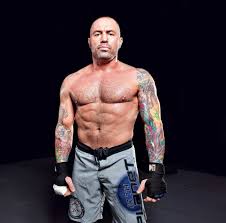 As one of the most recognizable faces of the ufc, his appearance has startlingly resembled the president of the ufc, dana white. Why Is Joe Rogan The Spokesperson For The Ufc Quora