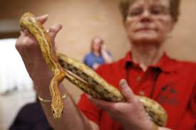 Well Wise Whole Wellness Fair