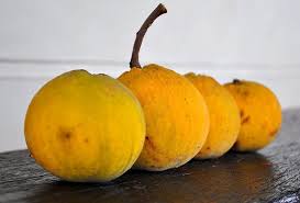 It's used in cooking, not for eating … asam keping / asam gelugur / tamarind slice read more » Pin On Nature S Medicine