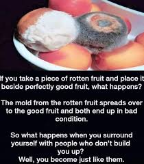 If You Take A Piece Of Rotten Fruit And Place It Beside Perfectly Good Fruit What Happens The Mold From The Rotten Frui Rotten Fruit Fruit Quotes Fruit Spreads
