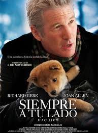 Luke Allard : sus películas y series en streaming