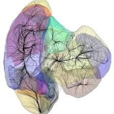 Mariam olivera nude pictures had a good time but the