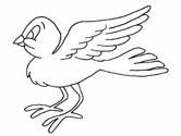 Grab these forest animals coloring pages for adults and if you like them be sure to also get my colorful woodland coloring ebook! Forest Animal Coloring Pages