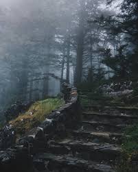 Pin By Obsoleta Distanti On Paths Bridges Roads Stairs Water Photography Girl In Water Instagram