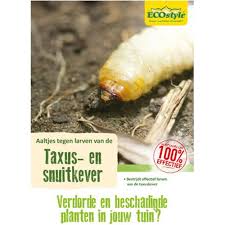 Ecostyle Larvenbestrijding Taxuskever Aaltjes 12m Ongedierte In De Tuin Insecten Tuin