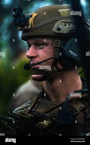A platoon commander hi-res stock photography and images