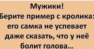как новый год встретишь так его и проведешь это Pin By Maryan Staroverov On Yumor Humor Tech Company Logos Funny
