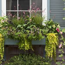 You'd think actually building the planter box is the hardest part of this sort of project but choosing what plants to fill it with is not an easy process either. Window Boxes How To Choose The Best Flowers Planters This Old House