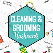 Cleaning Grooming Flashcards Sorting Activity Flashcards Build Social Skills Word Wall