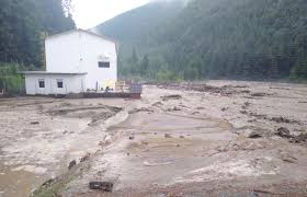 We did not find results for: Ulmhocpocoyg5m