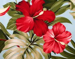 Fabric Red Hibiscus Floral On Cream Tropical Hawaii Bird Of Paradise Flower By The Yard Vetements Et Accessoires Fleurs Hawaienne Dessin Dessin Hibisc