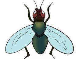 رسم ولي العهد محمد بن سلمان خطوة بخطوة بطريقة سهلة جدا تعليم الرسم painting wallpaper character pluto the dog