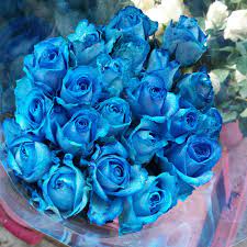 Bunga mawar gif gambar animasi animasi bergerak 100 gratis. Gambar Bunga Warna Biru Gambar Bunga