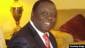 Tsvangirai's Call for Zimbabwe Mass Protests Angers Zanu PF