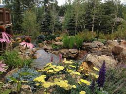 Insanely Beautiful Luxury Colorado Mountain Landscaping Ideas Cn08e2 Https Canadagoosesvip Top Luxury C Landscape Front Yard Landscaping Backyard Landscaping