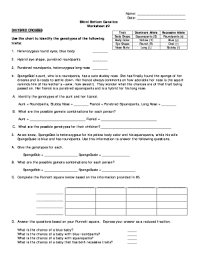 Spongebob squarepants recently met spongesusie roundpants at a dance. Bikini Bottom Genetics Dihybrid Crosses Fill Online Printable Fillable Blank Pdffiller