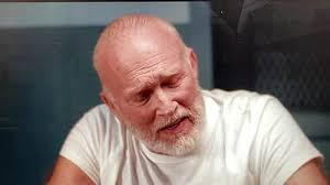 Stephen Meadows as Whitey Bulger