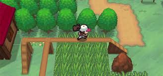 If you are playing pokémon white, you can reach white forest after you beat the game. Best Grinding Spots For Leveling In Pokemon Black White Fandomspot