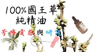 Image result for Neojeffreya